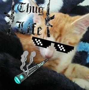 Meet your Posher, Axel